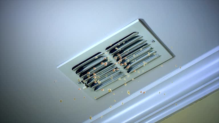 Best Best Air Duct Cleaning Company  in Au Sable, MI